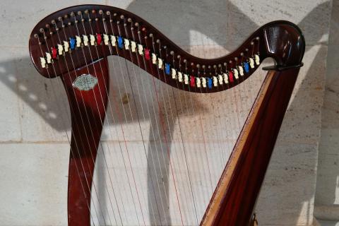 Harp. The Dutch for "harp" is "harp". Harp. The Dutch for "harp" is "harp".