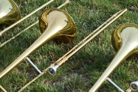 Trombone. The Dutch for "trombone" is "trombone".