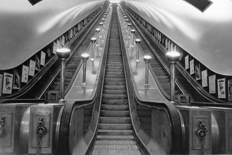 Escalator. The Dutch for "escalator" is "roltrap".