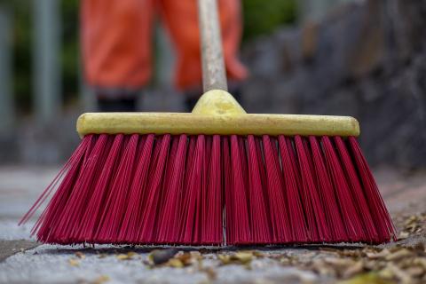 Broom. The Dutch for "broom" is "bezem".