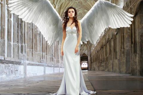 Angel. The Dutch for "angel" is "engeltje".
