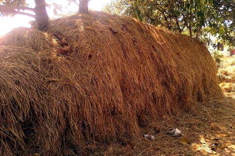 Haystack. The Dutch for "haystack" is "hooiberg".