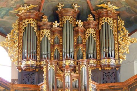 Organ. The Dutch for "organ" is "orgel".