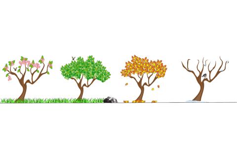 Season. The Dutch for "season" is "seizoen".