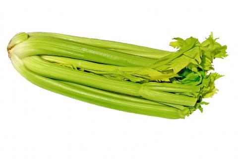 Celery. The French for "celery" is "céleri".