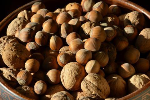 Hazelnuts. The French for "hazelnuts" is "noisettes".
