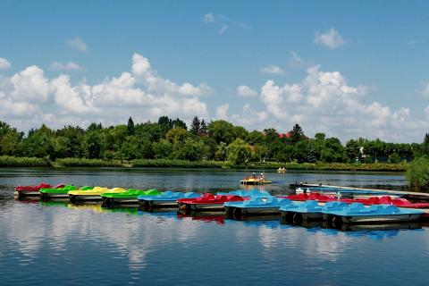 Pedalos; paddle boats. The French for "pedalos; paddle boats" is "pédalos".