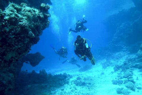 Scuba diving. The French for "scuba diving" is "plongée sous-marine".