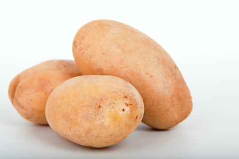 A potato. The French for "a potato" is "une pomme de terre".