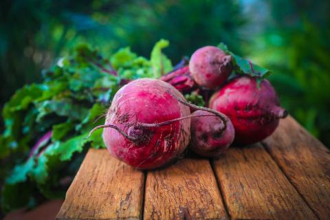The beet; the beetroot. The French for "the beet; the beetroot" is "la betterave".