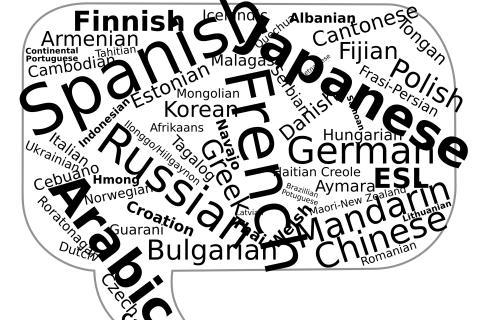 The most spoken language in the world is Chinese.. The French for "The most spoken language in the world is Chinese." is "La langue la plus parlée au monde est le chinois.".