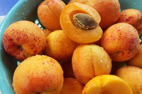 The apricot. The French for "the apricot" is "l’abricot".