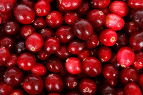 A cranberry. The French for "a cranberry" is "une canneberge".