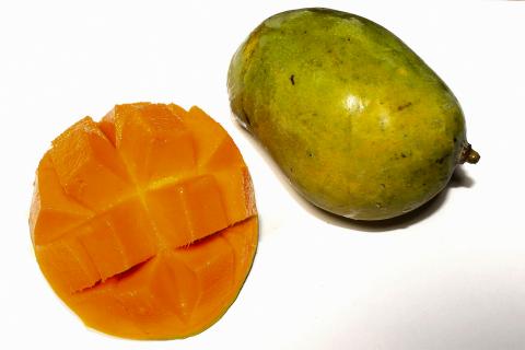 Mango. The French for "mango" is "mangue".