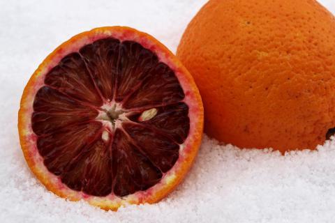 Blood orange. The French for "blood orange" is "orange sanguine".