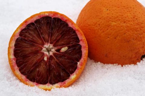 A blood orange. The French for "a blood orange" is "une orange sanguine".