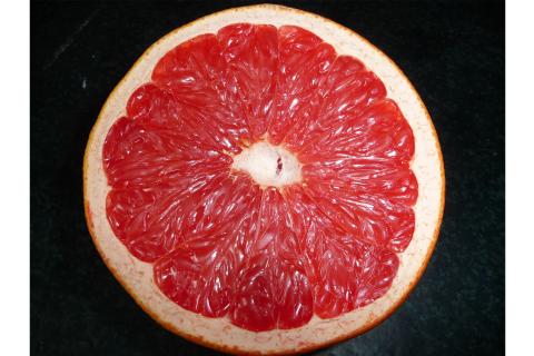 A pink grapefruit. The French for "a pink grapefruit" is "un pamplemousse rose".
