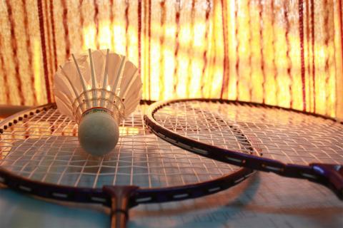 Badminton. The French for "badminton" is "badminton".