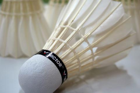 A badminton shuttlecock. The French for "a badminton shuttlecock" is "un volant de badminton".