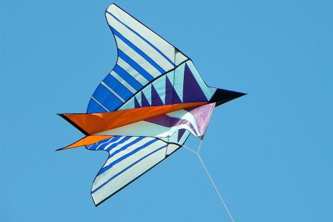 A kite. The French for "a kite" is "un cerf-volant".