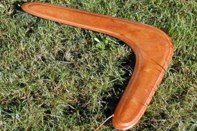 The boomerang. The French for "the boomerang" is "le boomerang".