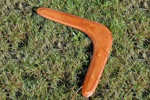 Boomerang. The French for "boomerang" is "boomerang".