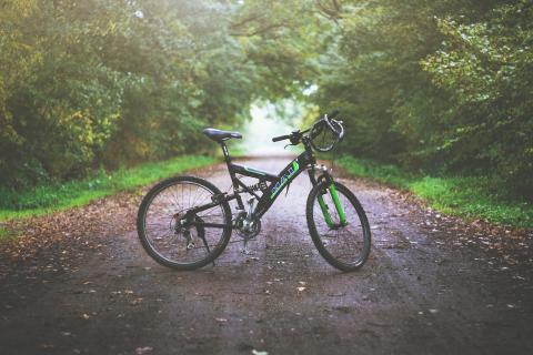 Bicycle Bike In French Lingopolo