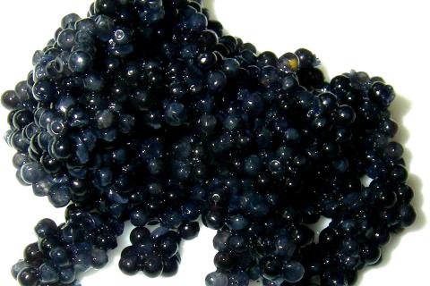 The caviar. The French for "the caviar" is "le caviar".