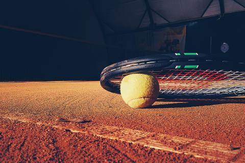 The tennis. The French for "the tennis" is "le tennis".