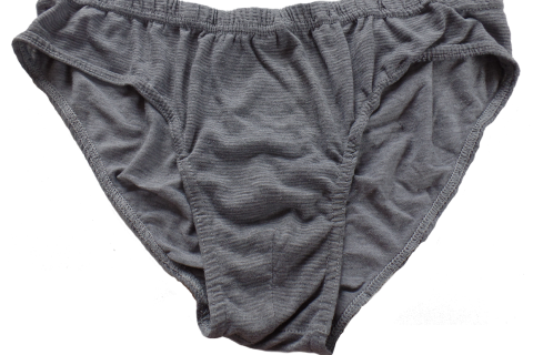 A pair of underpants. The French for "a pair of underpants" is "un slip".
