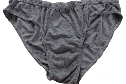 The underpants. The French for "the underpants" is "le slip".