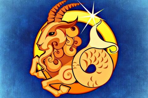 Capricorn (sign of the zodiac). The French for "Capricorn (sign of the zodiac)" is "capricorne".