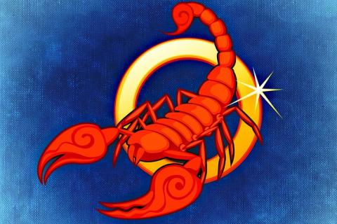 Scorpio (sign of the zodiac). The French for "Scorpio (sign of the zodiac)" is "scorpion".