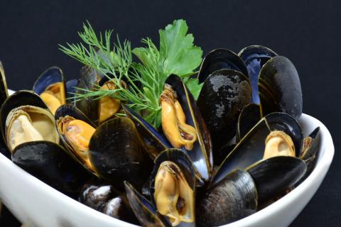 Mussel. The French for "mussel" is "moule".