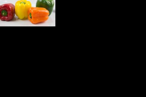 Pepper (British); bell pepper (American). The French for "pepper (British); bell pepper (American)" is "poivron".