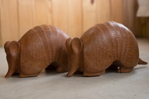 Armadillos. The French for "armadillos" is "tatous".