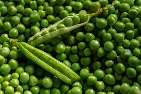 Peas. The French for "peas" is "petits pois".