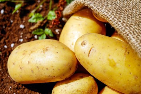 Potatoes. The French for "potatoes" is "pommes de terre".