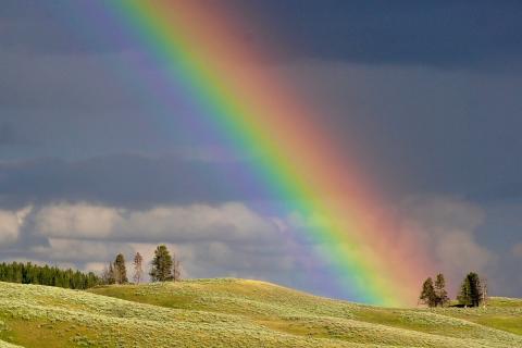 Rainbow. The French for "rainbow" is "arc-en-ciel".