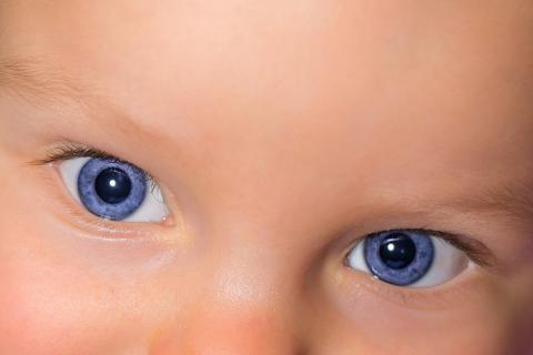 Blue eyes. The French for "blue eyes" is "des yeux bleus".