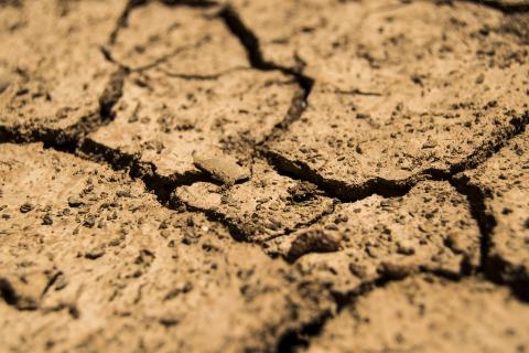 Earth; ground. The French for "earth; ground" is "terre". Earth; ground. The French for "earth; ground" is "terre".