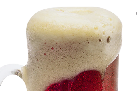 Foam. The French for "foam" is "mousse".