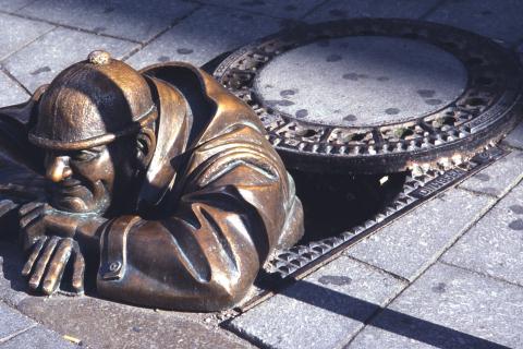 Sewer. The French for "sewer" is "égout".