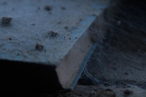 Dust. The French for "dust" is "poussière".