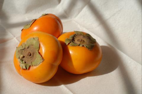 Persimmon. The French for "persimmon" is "kaki".