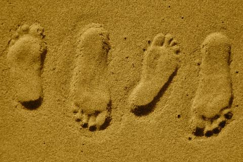 Footsteps. The French for "footsteps" is "pas".