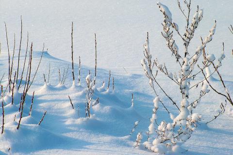 Snow. The French for "snow" is "neige".