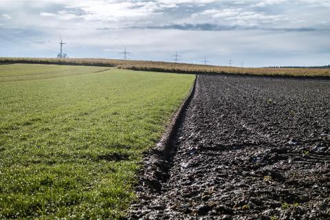 Field; ground. The French for "field; ground" is "terrain".