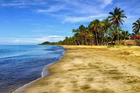 The beaches. The French for "the beaches" is "les plages".