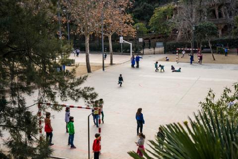 Schoolyard. The French for "schoolyard" is "cour d’école".